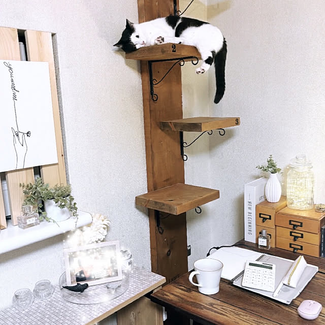 mahi1101さんの実例写真
