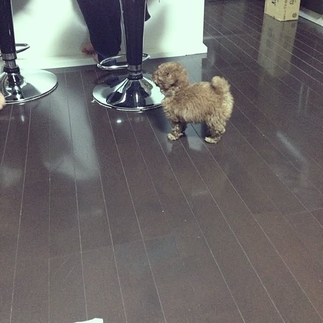 実例写真