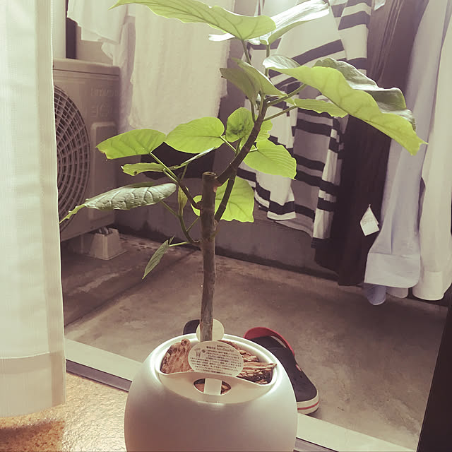 keyichiroさんの実例写真