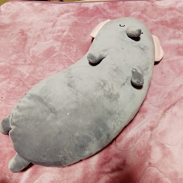 yurinekoさんの実例写真