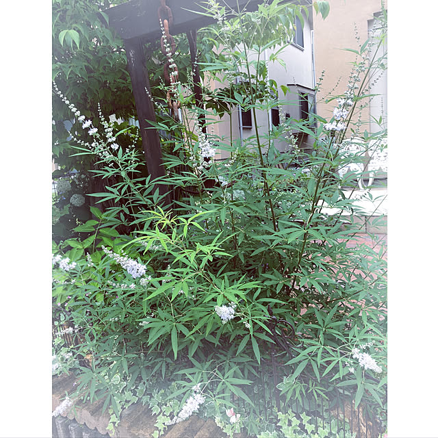 soraさんの実例写真