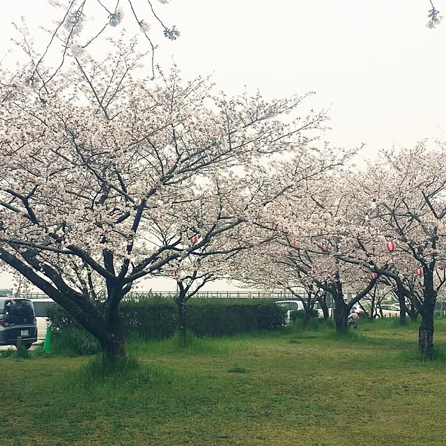 実例写真