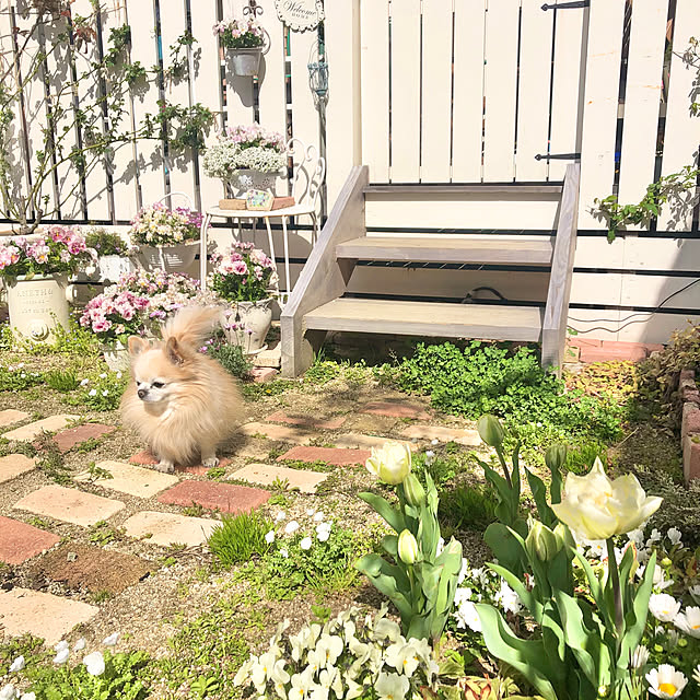 ponさんの実例写真