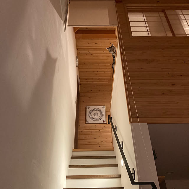mkmkmoominさんの部屋
