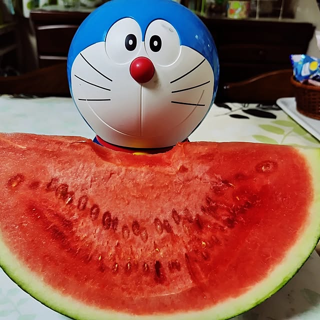 katさんの部屋