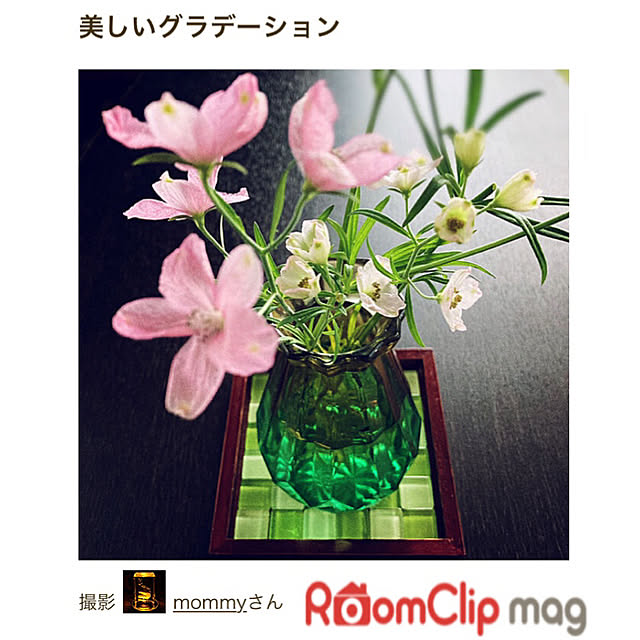 mommyさんの実例写真