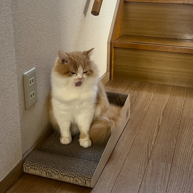 junさんの部屋