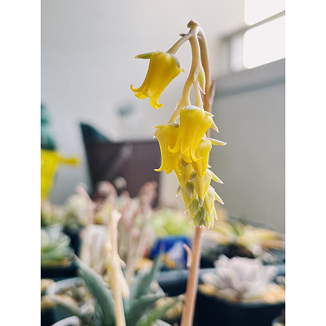 w_end_0625さんの実例写真
