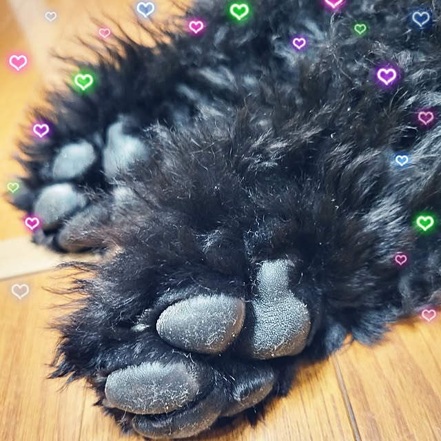 mimi828さんの実例写真