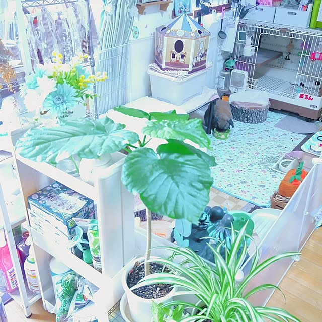 mariaさんの部屋