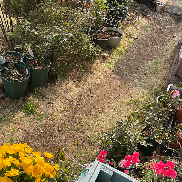 natsumiさんの部屋