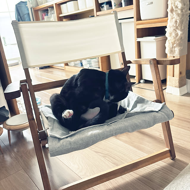 masamasaさんの実例写真