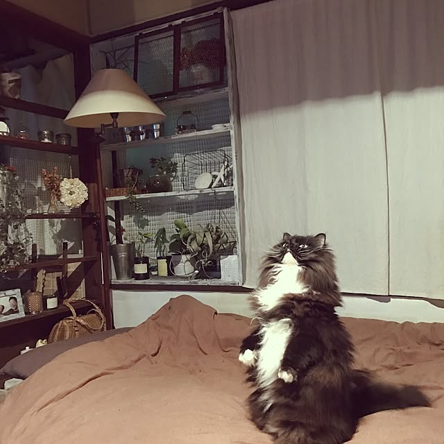 mucc08さんの実例写真