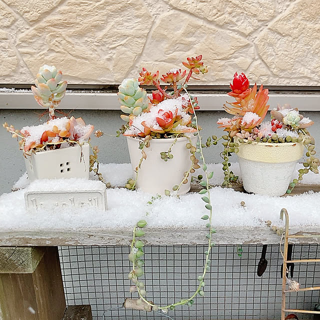 norikoko310さんの部屋