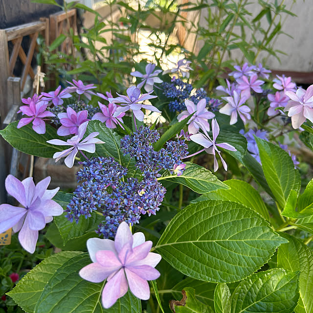 Fumiさんの部屋