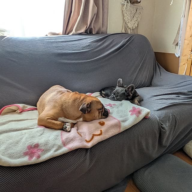 chi_gogaさんの部屋