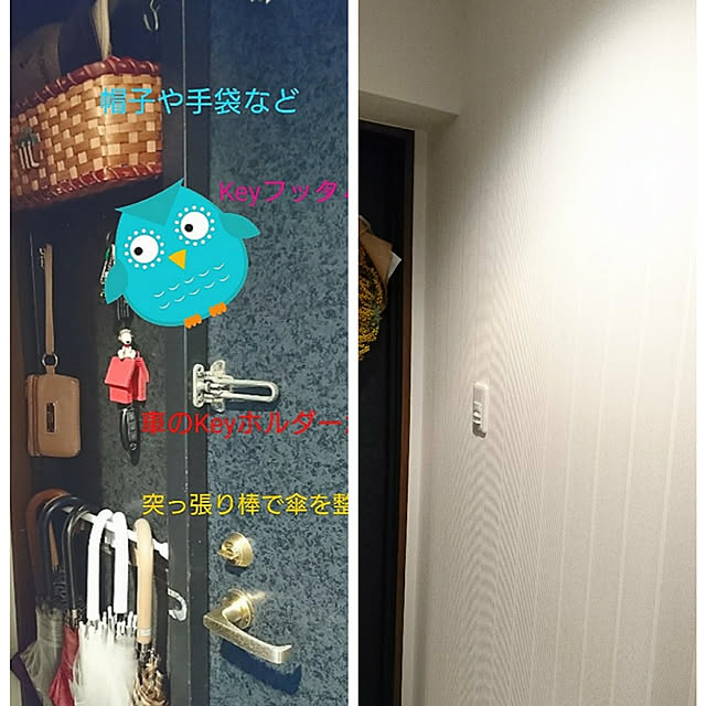 puuuさんの実例写真