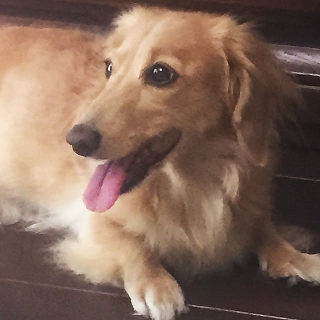 bibianさんの実例写真