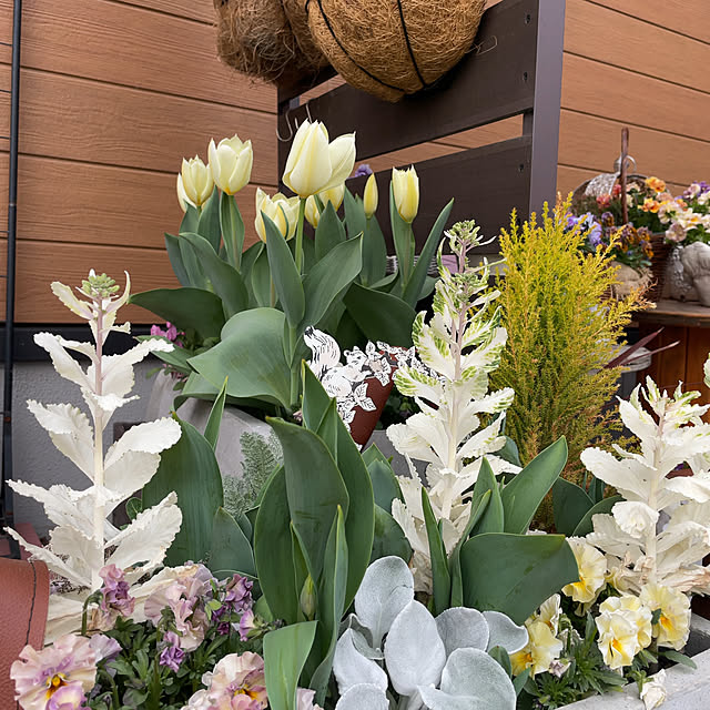 ake_h_mさんの実例写真