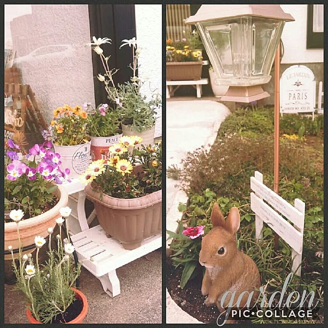 Midoriさんの実例写真