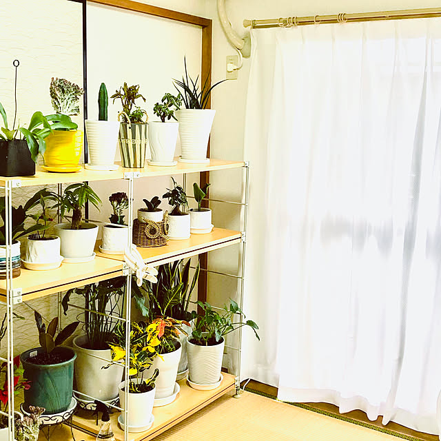 hanachanさんの部屋