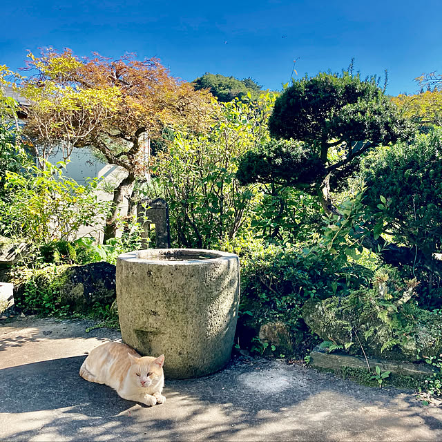 CoCo0617さんの実例写真