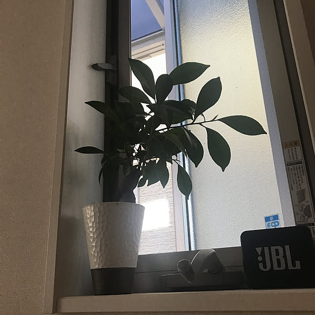 Momooさんの実例写真
