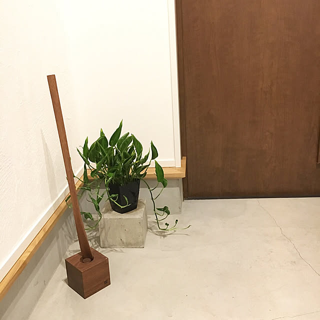 qu_miiiiiiiさんの実例写真