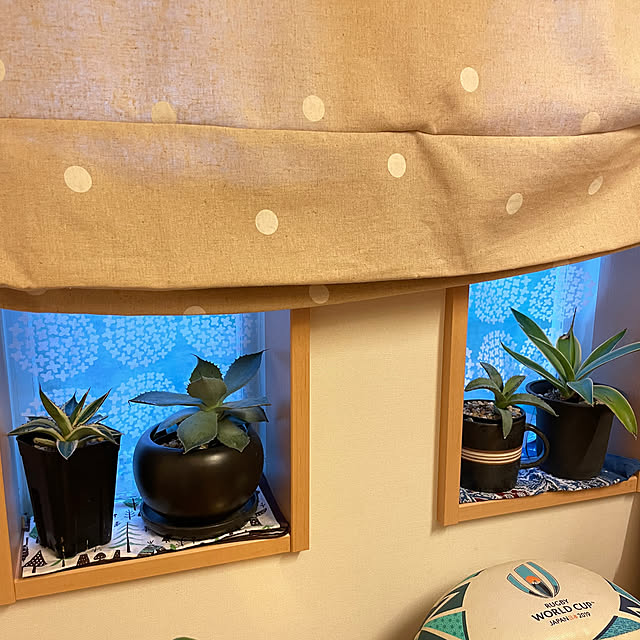 taka17cafeさんの実例写真