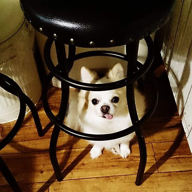 mikaさんの実例写真