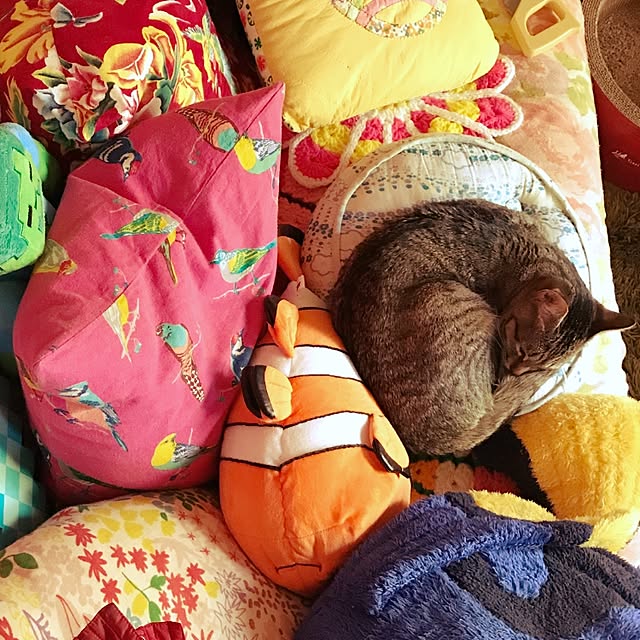 実例写真