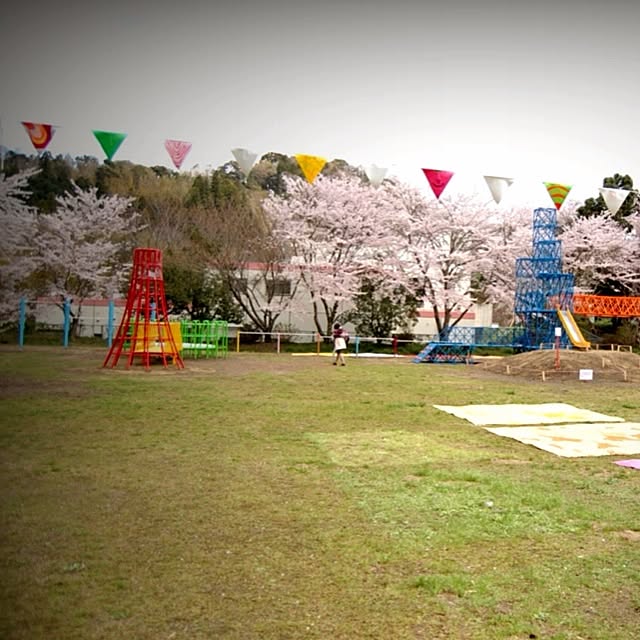 実例写真