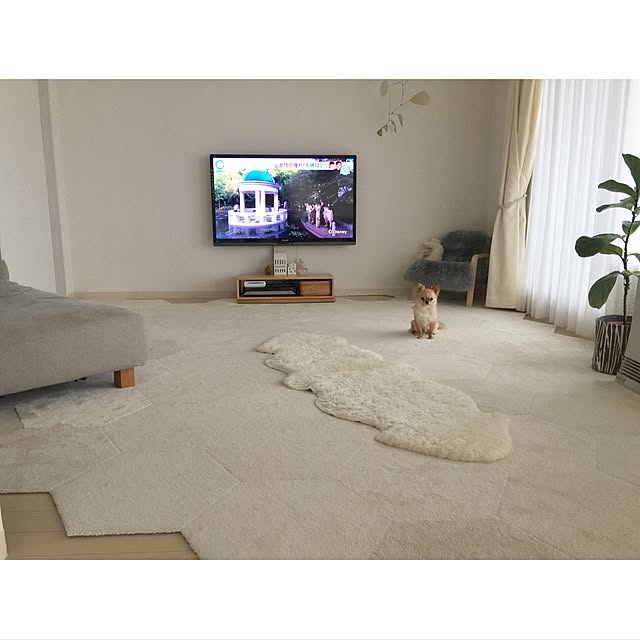 haruhinaさんの実例写真