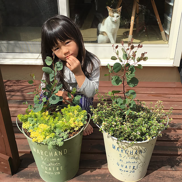 CONIFERさんの実例写真