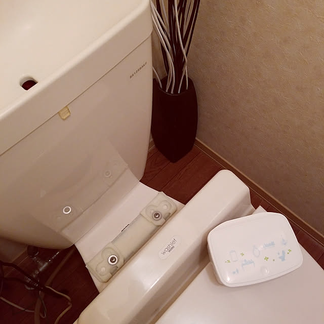 BUTTERFLYさんの実例写真