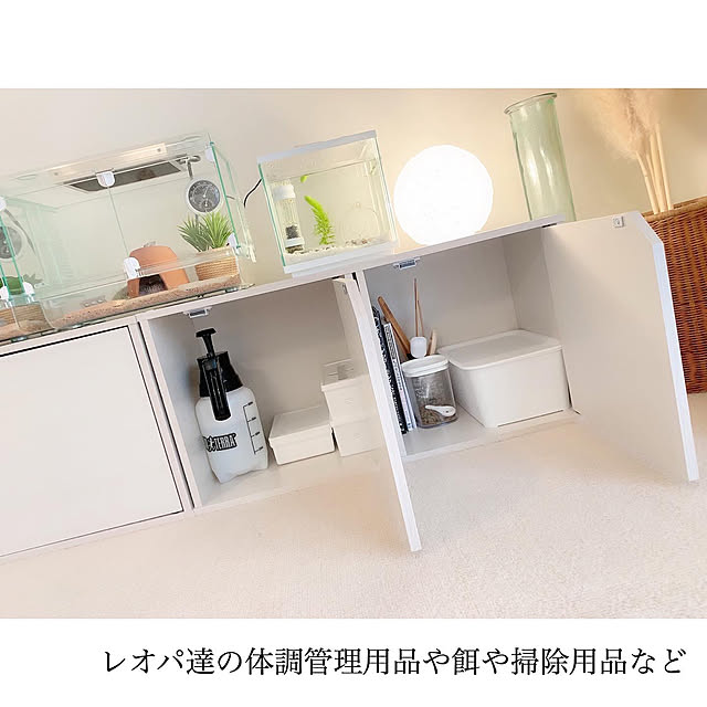 chaluさんの実例写真