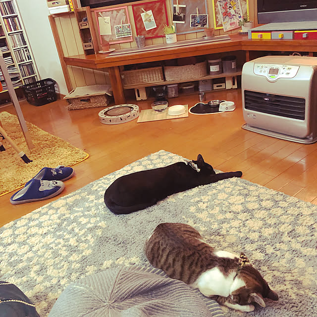 jijiさんの実例写真