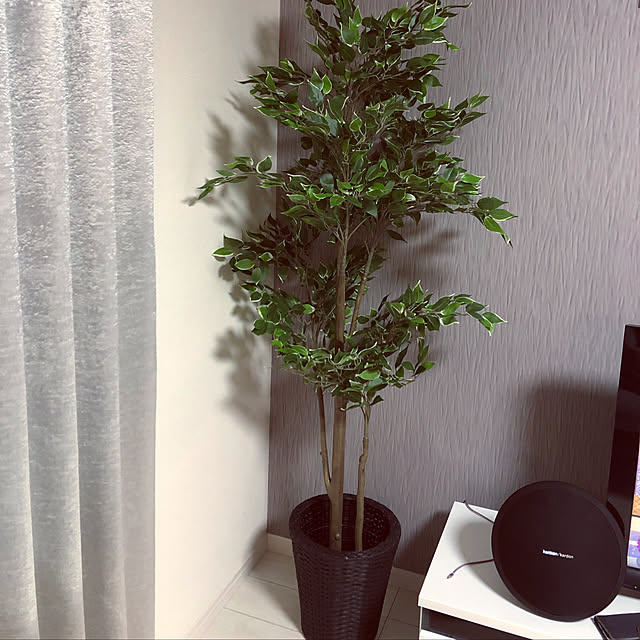 yuさんの実例写真