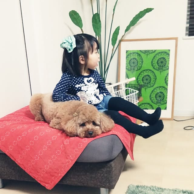 sachi626さんの実例写真