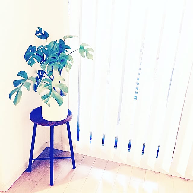mimozaさんの実例写真