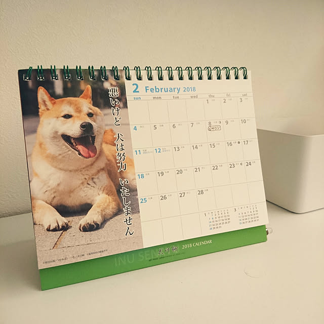 wankorolinさんの実例写真