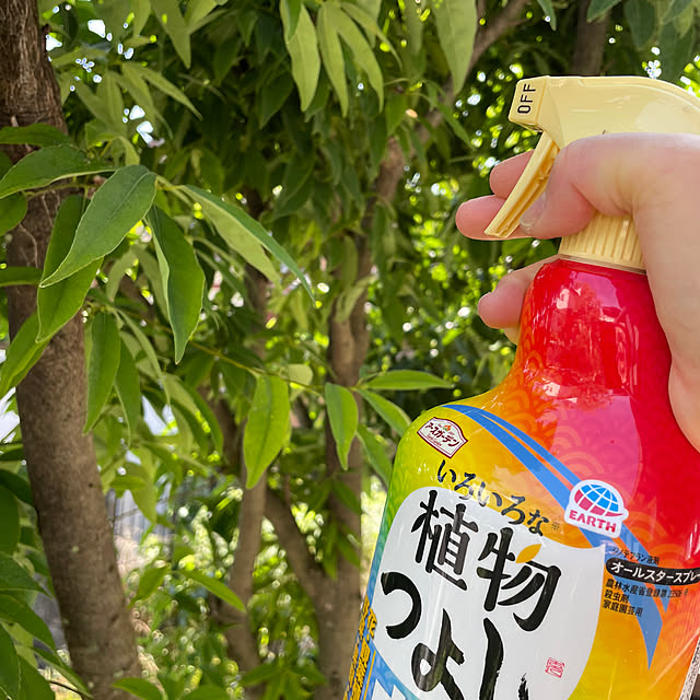 yu-さんの実例写真