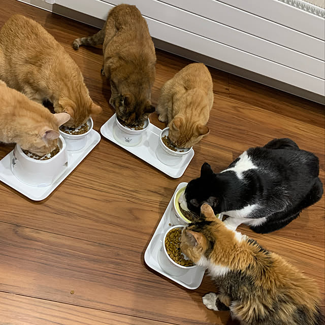 mikeume7さんの実例写真