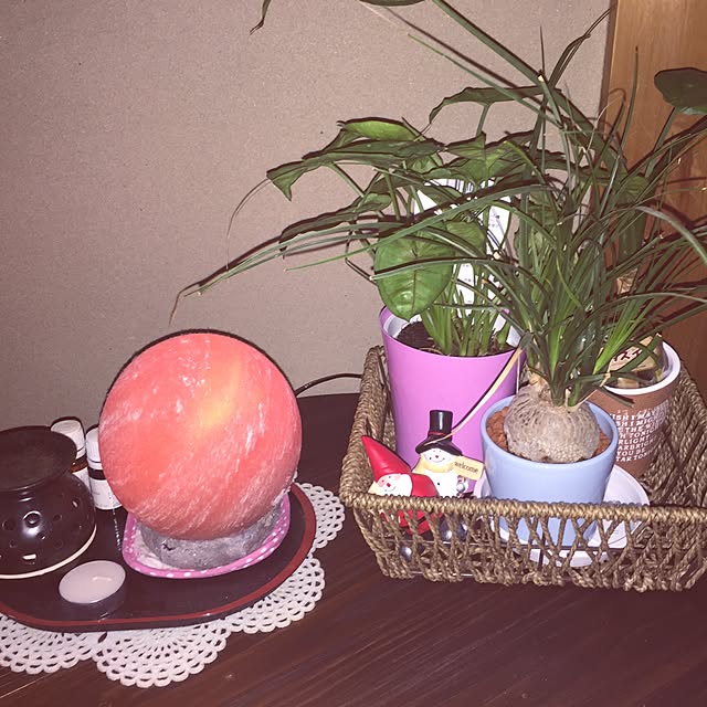 机/観葉植物/セリア/照明のインテリア実例 - 2014-11-20 19:06:59