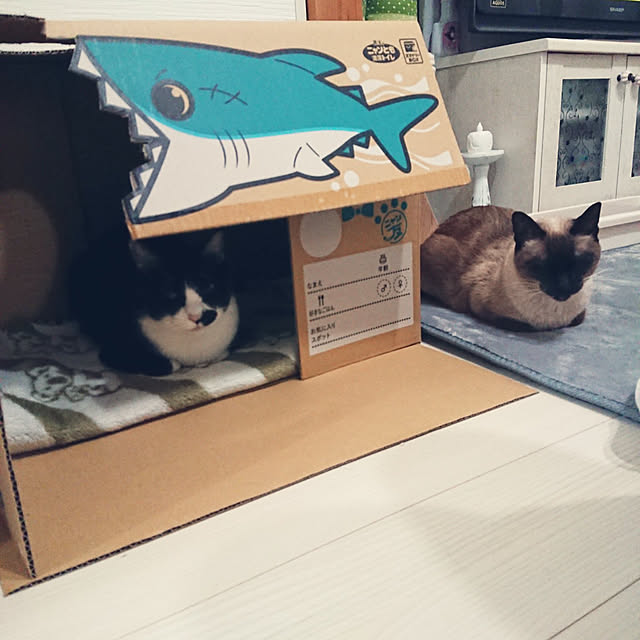 chatnoirさんの実例写真