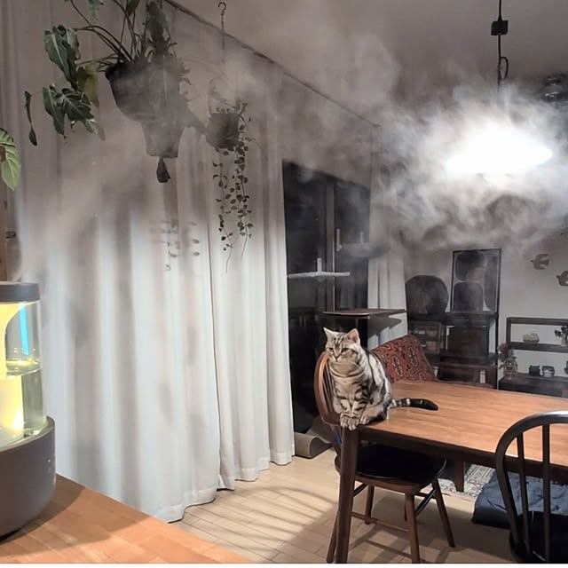 lovepeaceさんの部屋