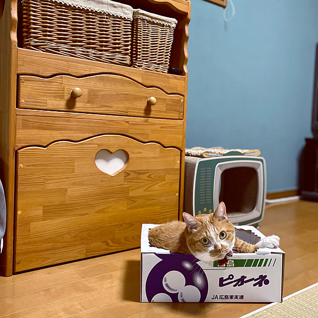 cocomaroさんの実例写真