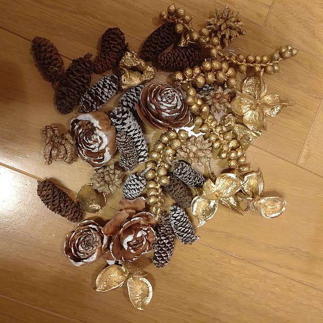 Hujikoさんの部屋