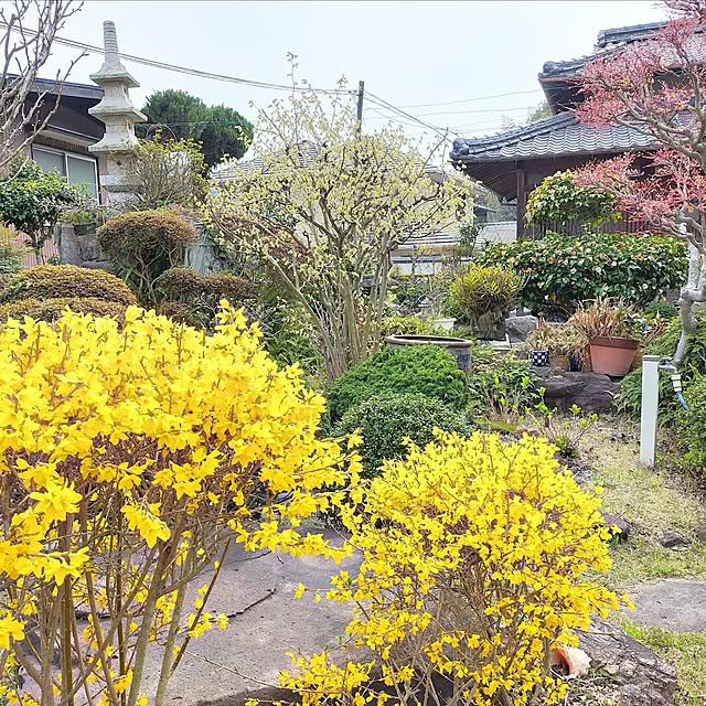 haruさんの実例写真
