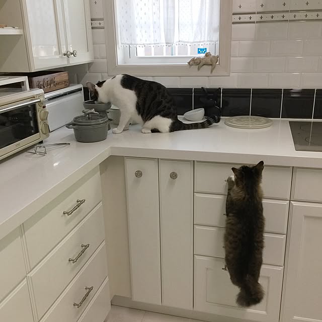 yuchiさんの実例写真
